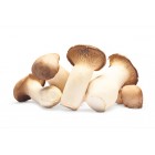 Boletus Eryngii 250 Grs