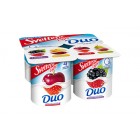 Sveltesse DUO Tutti-Frutti 4 X 125 Gr